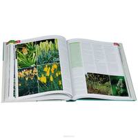 RHS Encyclopedia of Perennials