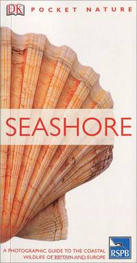 Seashore