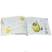 The Art of Botanical Drawing