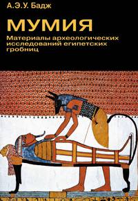 Мумия. Материалы археологических исследований египетских гробниц