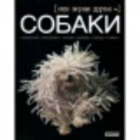 Собаки - наши верные друзья