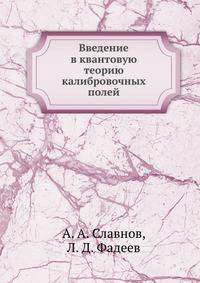 Введение в квантовую теорию калибровочных полей