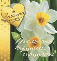 Тюльпаны, нарциссы, гиацинты