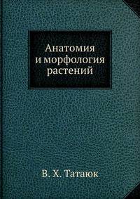 Анатомия и морфология растений