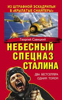 Небесный спецназ Сталина. Из штрафной эскадрильи в "крылатые снайперы" (сборник)