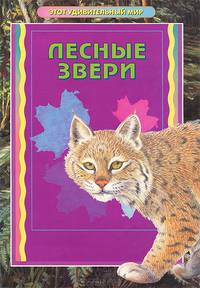 Лесные звери