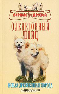Оленегонный шпиц. Новая древнейшая порода