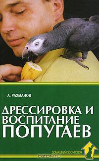 Дрессировка и воспитание попугаев