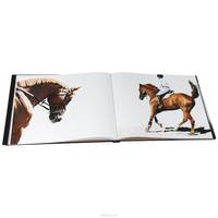 Horse Whisperings: Portraits by Bob Tabor