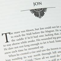 A Storm of Swords: Book 3: Of a Song of Ice and Fire (подарочное издание)