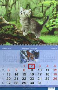 Календарь 2014 (на спирали). Котенок