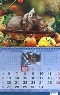 Календарь 2014 (на скрепке). Котята