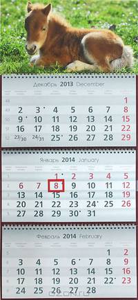 Календарь 2013-2014 (на спирали). Пони