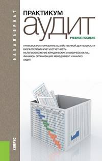 Аудит. Практикум (для бакалавров). Учебное пособие(изд:4)