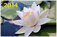 Настенный трехблочный квартальный календарь "Белая лилия" с курсором на 2014 год