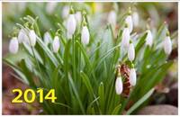 Настенный трехблочный квартальный календарь "Весенние цветы" с курсором на 2014 год