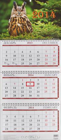 Календарь 2014. Сова (квартальный)