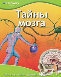 Тайны мозга / Пер. с англ. Т. Покидаева. - ил. - (Discovery Education).