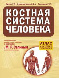 Костная система человека. Атлас