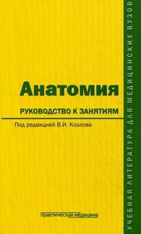 Анатомия: руководство к занятиям: учебное пособие. Козлов В. И