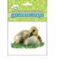 Карточки для развития ребенка.Домашние птицы