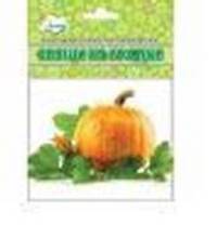 Карточки для развития ребенка.Овощи на грядке