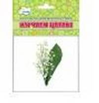 Карточки для развития ребенка.Изучаем цветы