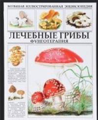 Лечебные грибы. Фунготерапия