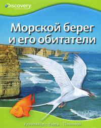 Морской берег и его обитатели Discovery Education