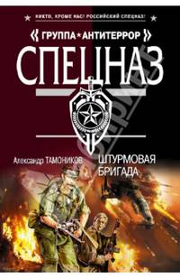 Штурмовая бригада