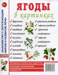 Ягоды в картинках. Наглядное пособие для педагогов, логопедов, воспитателей и родителей