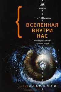 Вселенная внутри нас. Что общего у камней, планет и людей