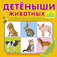 Детёныши животных