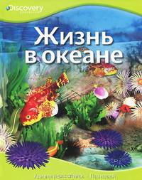 Жизнь в океане Discovery Education
