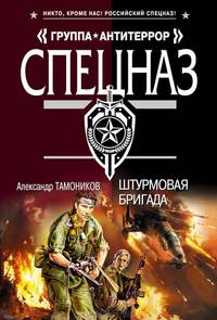 Штурмовая бригада