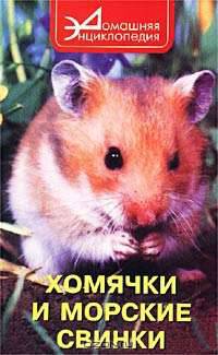 Хомячки и морские свинки