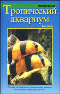 Тропический аквариум