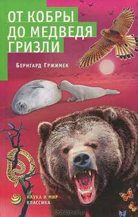 Плотин. Избранные трактаты