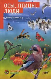 Осы, птицы, люди