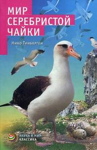 Мир серебристой чайки