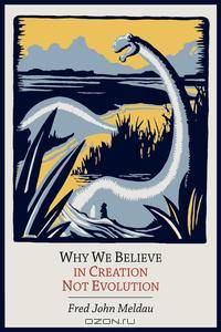 Why We Believe in Creation Not Evolution