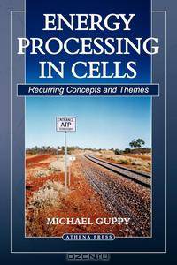 Energy Processing in Cells. Recurring Concepts and Themes