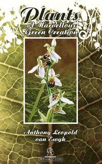 Plants. A Marvellous Green Creation