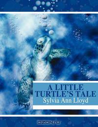 A Little Turtle