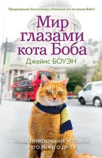 Мир глазами кота Боба. Новые приключения человека и его рыжего друга.