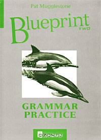 Blueprint Two. Grammar Practice