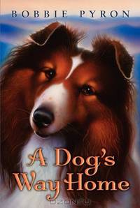 A Dog