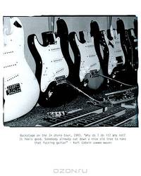 Nirvana. The True Story