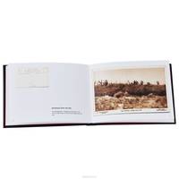The Trenches: Images from the First World War