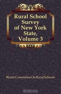 Rural School Survey of New York State, Volume 3